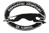 Greyhound Adoptions of Florida