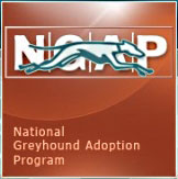 NGAP